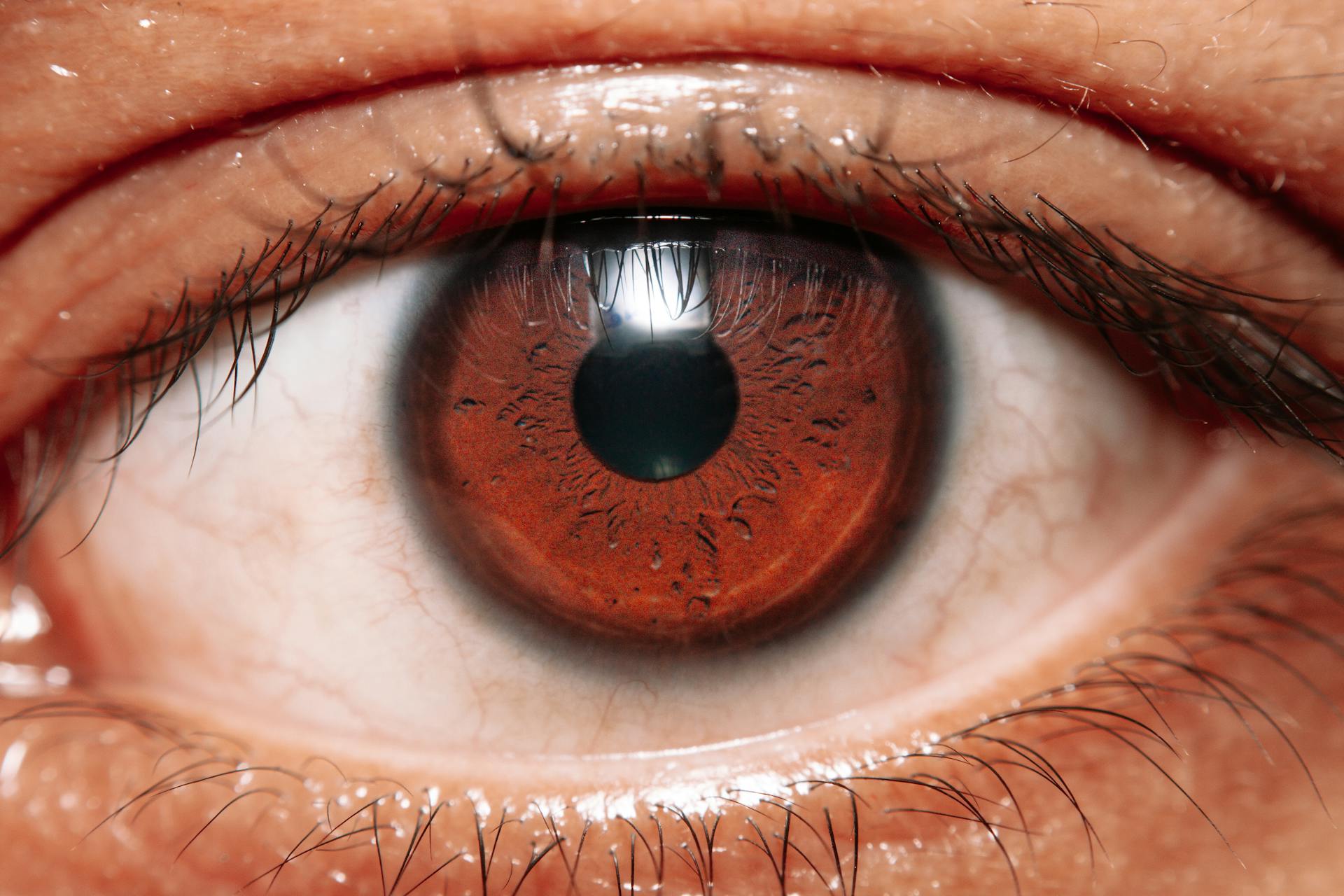 Age-Related Macular Degeneration: What Southern Utah Patients Need to Know